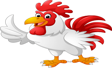 Frozen Chicken